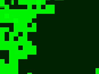 indo amateur adventures