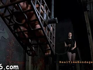 Four angels confined in a small cage