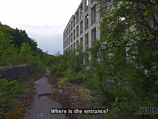 Hunt4k brunette picks up stranger for passionate outdoor meeting