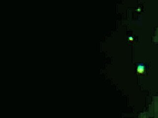 charline the seductress gives in to her surfer neighbor