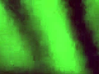 I admire her nice ass