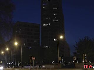 Spitroasted Euro Enjoys Interracial Threeway