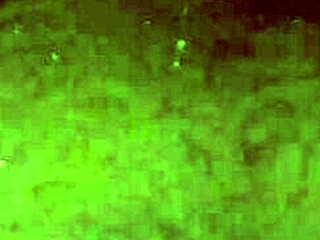 Piss In Bathtub Pissen In Der Badewanne