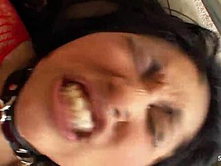 Half Asian bitch Mika Tan with perfect ass and tits takes rough anal and DP threesome from two big dick guys.