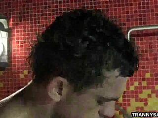 tranny nicole marques slurps cock before anal pounding