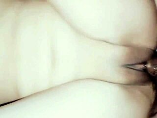 Mixed Race Petite Asian Babe Alexandra Strips Lingerie in Softcore Tease