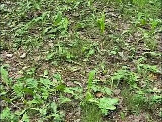 Olivia Bay lets guy grope her perfect college natural tits