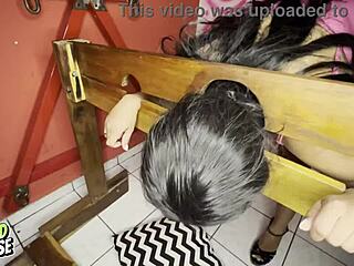 Noiva Safada Takes Two Cocks Doggystyle in BDSM Room Close-Up