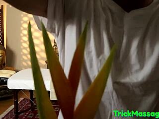 Cute amateur babe gets massaged then deeply drilled close-up