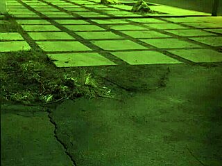 Teen Hooks Up with Earthy Milf for Wild Outdoor Fucking Adventure