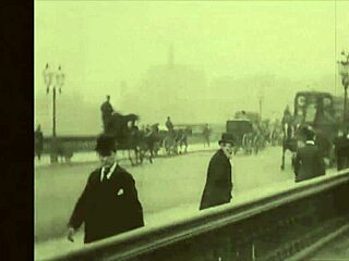 vintage hairy pussies in retro erotic beaver close-ups