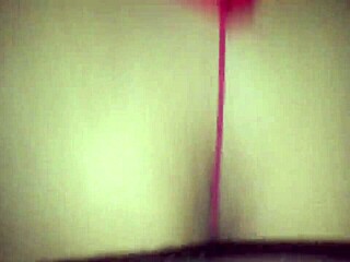 safada from interlagos offers tight ass fuck