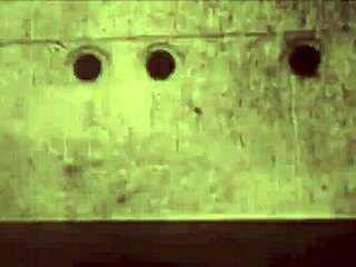 vintage hairy pussies in retro erotic beaver close-ups