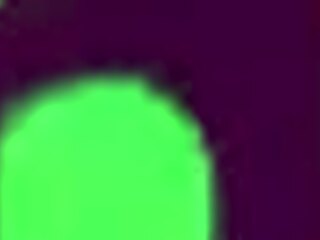 Jade Maris and Scarlet Skies scream Breed us both, Jayden!! on double date