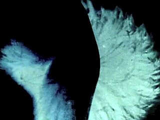 dark lantern entertainment flips through those steamy vintage picture stories from retro days