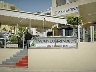 Cock Stakeout CUM Facial With Chloe Lamour!