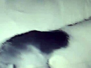 Horny housewife ma'am, crave two cocks stretching you wide?