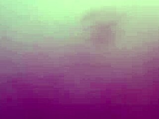 amateur blowjob clip from video0098