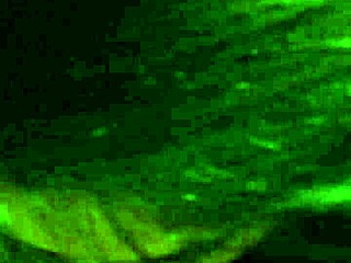 i'm mexican slut suckin' this fat dick!