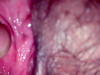 damn eat that wet pussy then shove cock down her throat til she swallows every drop!!