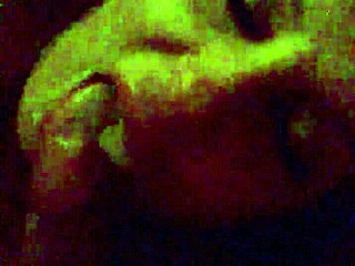 Stepsis maggie sucks cock post-party craving