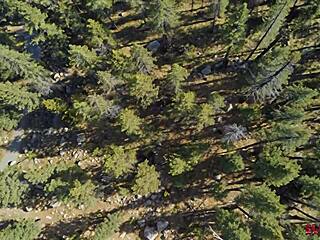 Yo pixie slut, bent over in garage for nasty punishment creampie?? 😈