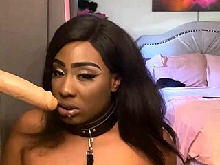 lexo butterflys suckin that cock rite off da wall