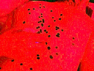 Interracial pawg melts under waxplay with massive bbc stretching her huge ass