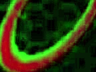 Tiara Starz Savors Rome Majors' Massive Cock Deepthroat Ride