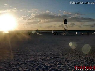 can fat ass blonde alexis swallow don prince's full ebony cock?