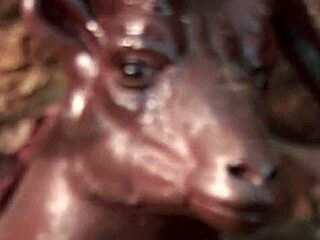 Busty blonde gets outdoor anal pounding from cheating husband!