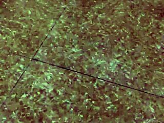 guy sneaks downstairs pulls wife's pants for quick asian vietnamese sex