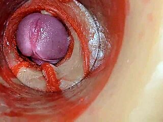 Wewnętrzna kamera filmuje wielkiego kutasa głęboką kremówką w ciasnej mokrej cipce close-up