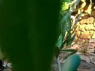 damn that italian babe pounded hard behind the cactus