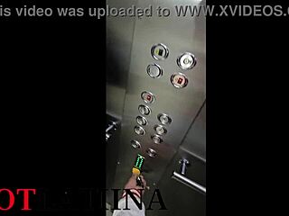 Neighbor's stepmom begs for my cock in the elevator medellin fuckfest colombia?