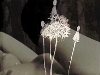 dark london vintage hairy mommy beaver taboo home fuck memories