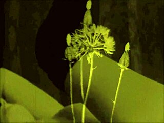 Vintage erotic drawings feature antique retro scenes with detailed poses