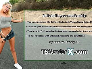 شقراء تجن جنونها هزات ذروة تركب زب ترنس جاين فينوس الضخم