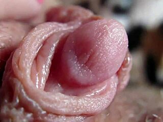 Clit