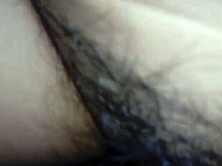 Sabrosa’s IVD is hairy as she spreads her legs wide open