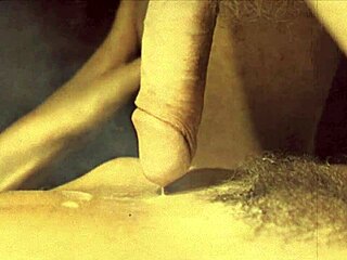 Vintage Blowjob and Retro Fucking: A Hairy British Man's Sensual Experience