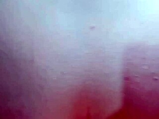 Aurora Shares Pink Rose Gift