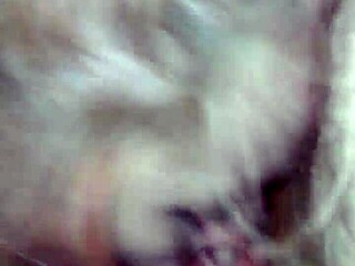 hot wife sucks me dry with passion