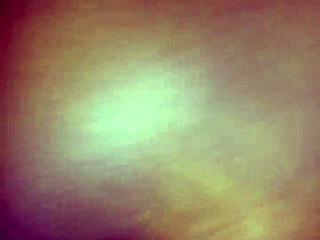 Shaved hairless pussy videos on Xvidos