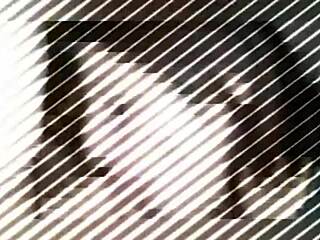 Deciding between morning or afternoon for the meeting