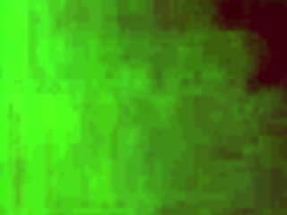 Lebanese Stars In Cultural Performances