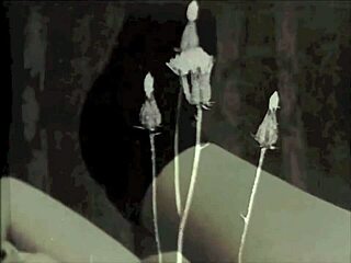 dark lantern entertainment presents two centuries of vintage porn 1850s vs 1960s 😎