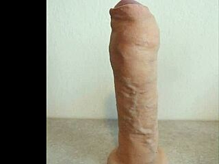 Paint Prosthetic Penis