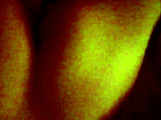 In this story, a husband loves his wife's pussy as she takes a monster cock deep inside