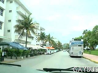 Live Gay Performance On Stage